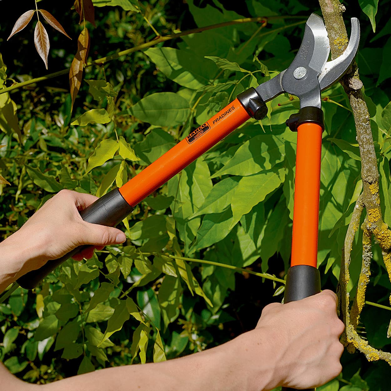 Bahco 600 mm Bypass Loppers with Steel Handle, P130-F