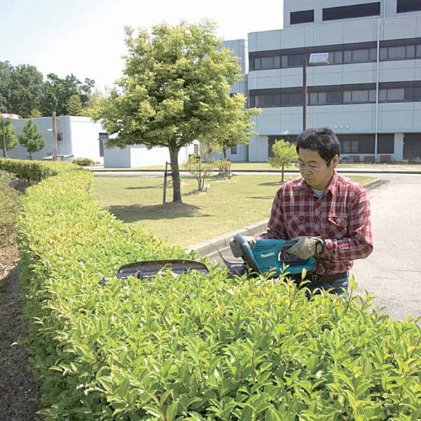 Makita 65 cm (25-1/2") 550W Hedge Trimmer, UH6570