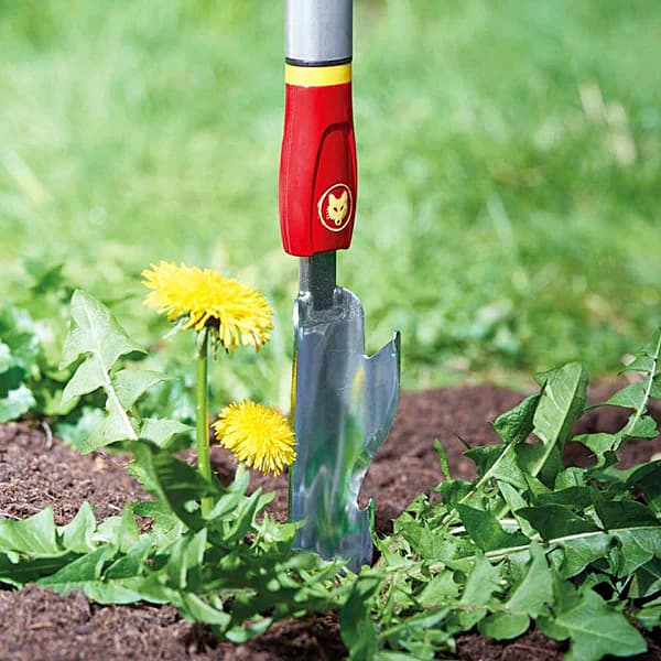 Wolf Garten 40 mm Thistle Extractor, iW-M