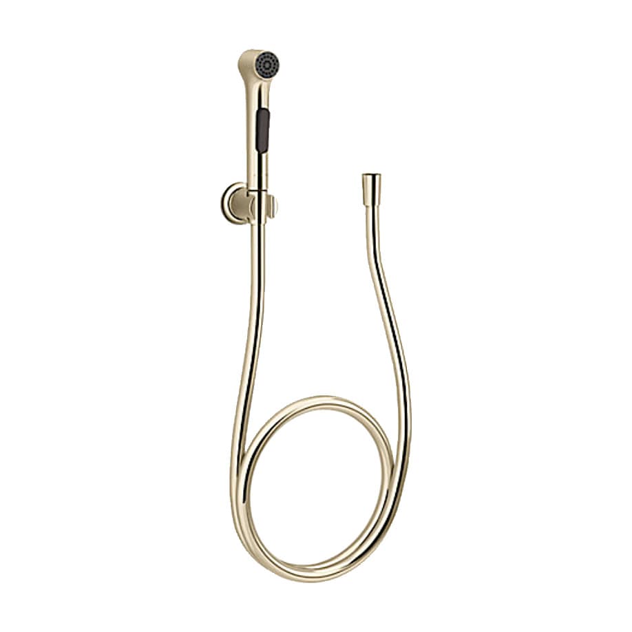 Kohler Elate Single-function Health Faucet with Hose & Bracket in French Gold Finish, K-97258IN-ZZ-AF
