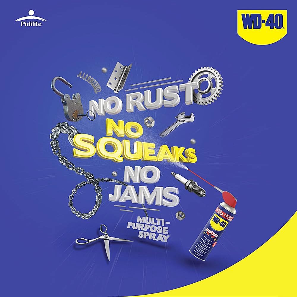 WD-40 32 Gms Multipurpose Rust Removal Spray (Pack of 24 Pcs)