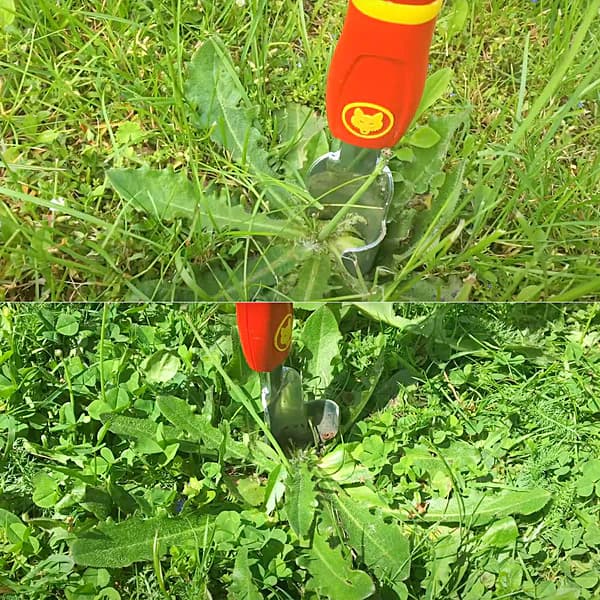 Wolf Garten 40 mm Thistle Extractor, iW-M