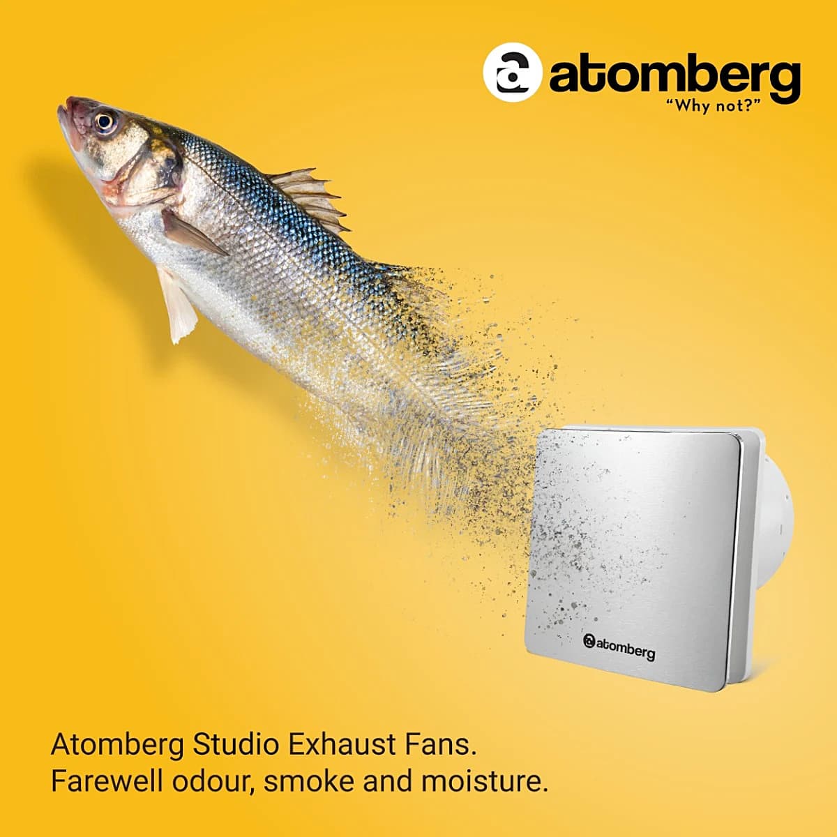 Atomberg Studio 150 mm Exhaust Fan with BLDC Motor (Stainless Steel)