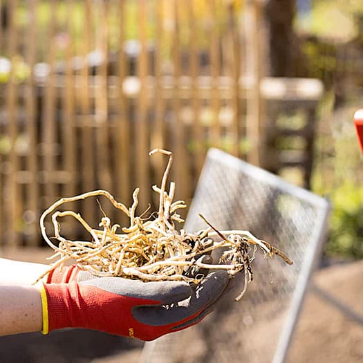 Wolf Garten Bed-Gloves (Soil), GH-BO 10