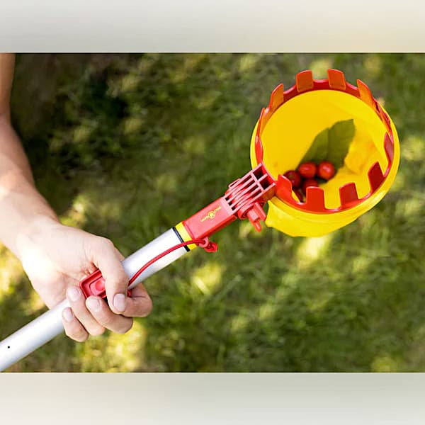 Wolf Garten Fruit Picker, RG-M