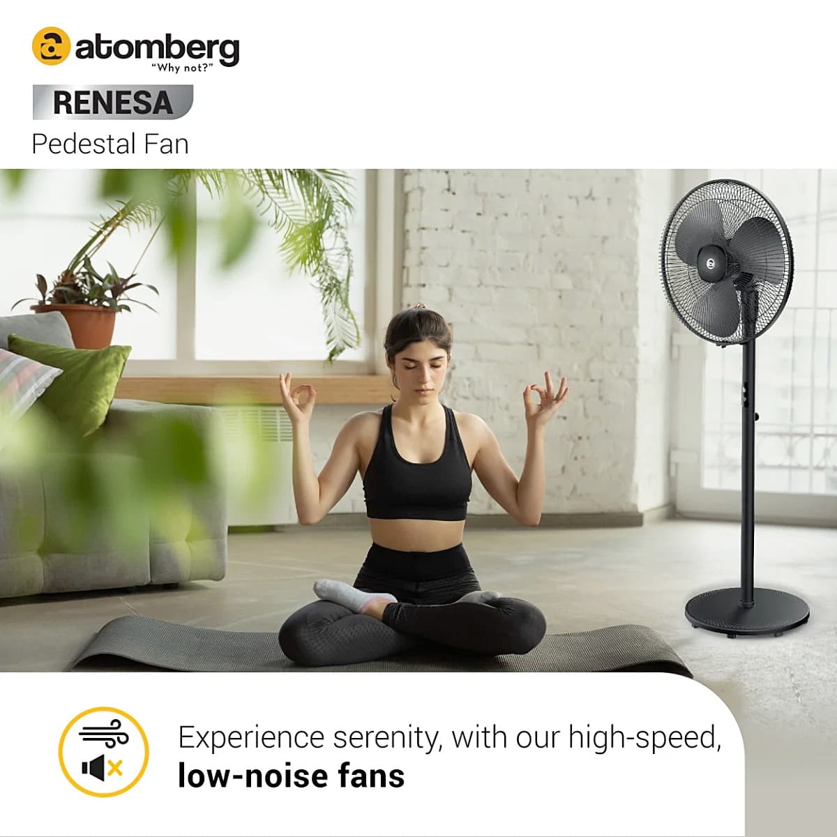 Atomberg Renesa Pedestal Fan 400 mm BLDC Motor Energy Saving With Remote Control (Black)
