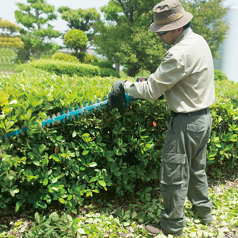 Makita 18V LXT BL 75 cm (29-1/2") Cordless Hedge Trimmer with Rapid Charger & 1 Pcs 5.0Ah Batteries, DUH752RT