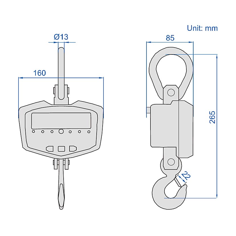 Insize 300 kg Electronic Crane Scale (Basic Type), 8203-CW03T