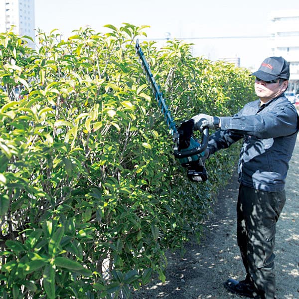 Makita 18V LXT BL 60 cm (23-5/8") Cordless Hedge Trimmer with Rapid Charger & 1 Pcs 5.0Ah Batteries, DUH602RT